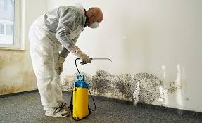 Kinsley, KS Mold Remediation Company